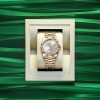 Rolex Day-Date 40, 18k Yellow Gold, 40mm, Ref# 228238-0066