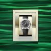 Rolex Sky-Dweller, 42mm, 18k White Gold, Ref# 336239-0002