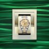 Rolex Sky-Dweller, 42mm, Oystersteel and 18k Yellow Gold, Champagne, Oyster, Ref# 336933-0001