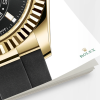 Rolex Sky-Dweller 42mm, 18k Yellow Gold, Oysterflex, Ref# 326238-0009