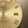 Rolex Day-Date 40 Yellow gold Ref# 228348RBR-0003