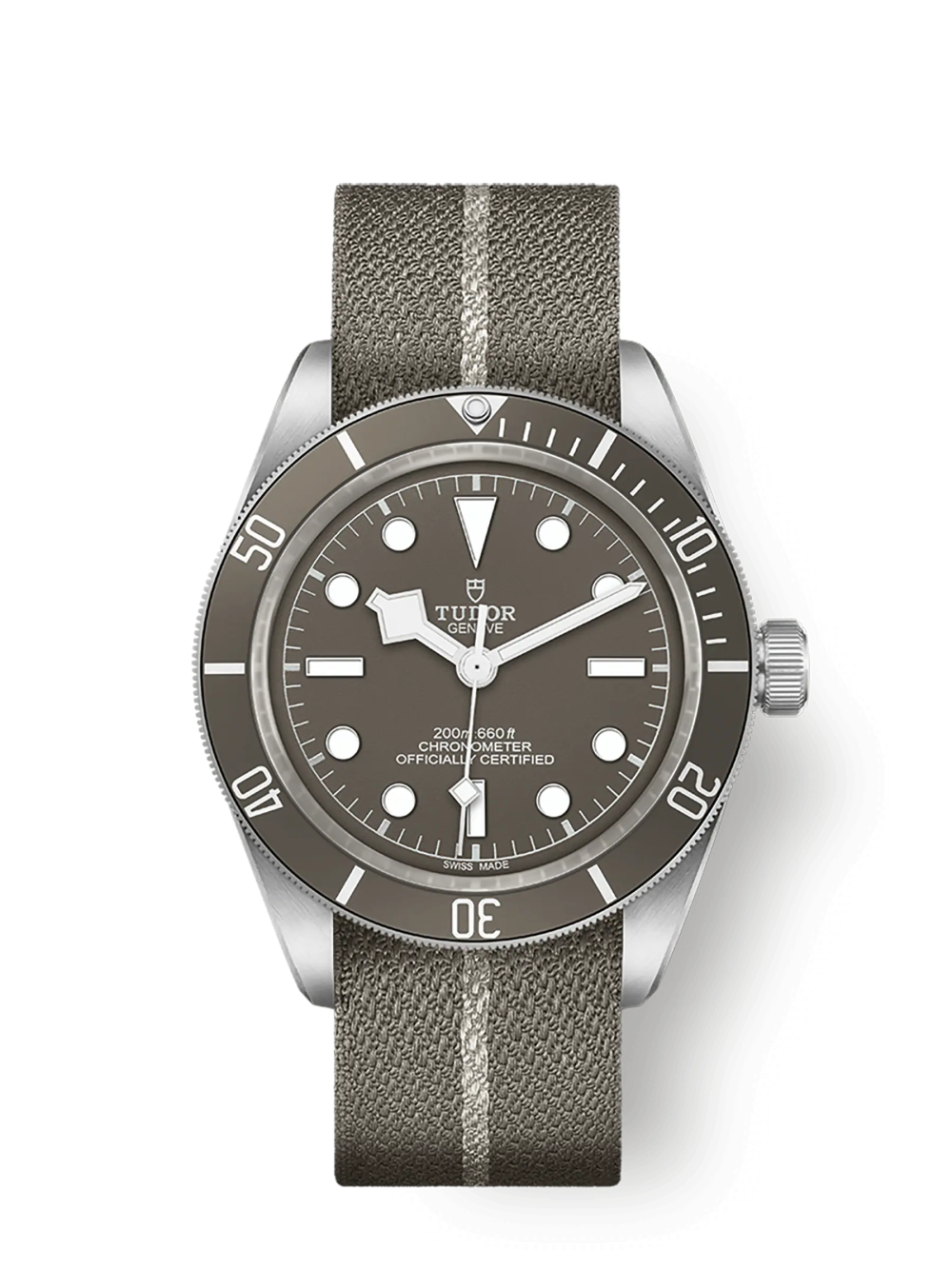 Tudor Black Bay Fifty-Eight 925, 39mm, 925 Silver, Ref# M79010SG-0002