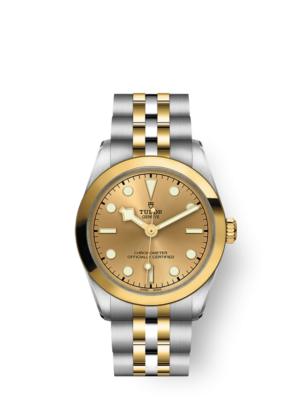 Tudor Black Bay 31 S&G, 316L Stainless Steel and 18k Yellow Gold, Ref# M79603-0005