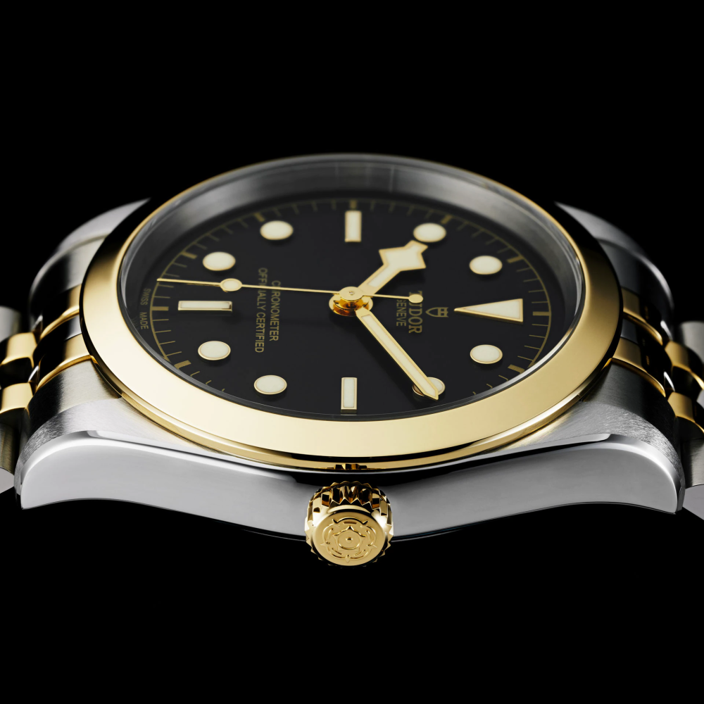 Tudor Black Bay 39 S&G, 316L Stainless Steel and 18k Yellow Gold, Ref# M79663-0001