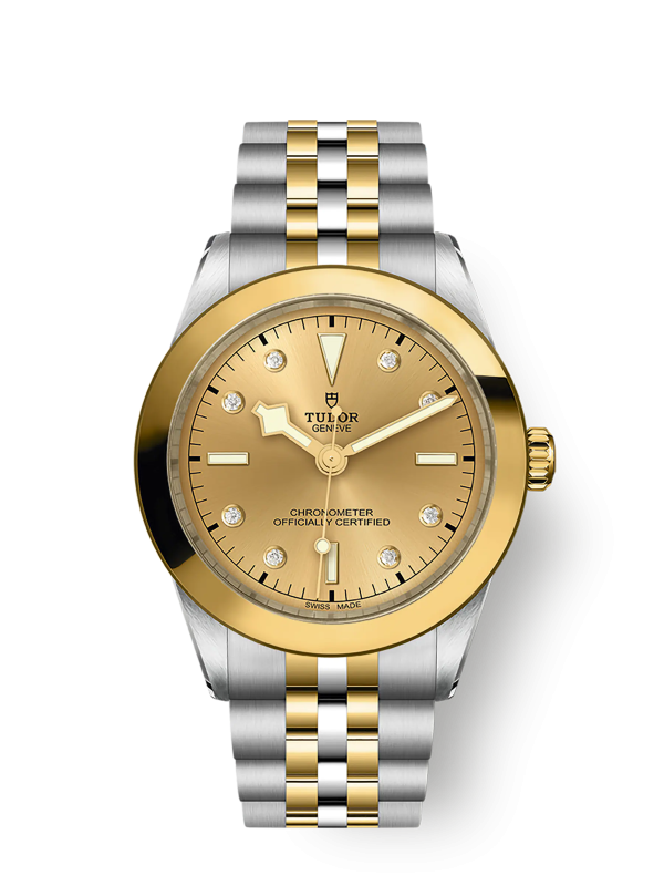 Tudor Black Bay 39 S&G, 316L Stainless Steel and 18k Yellow Gold, Ref# M79663-0008