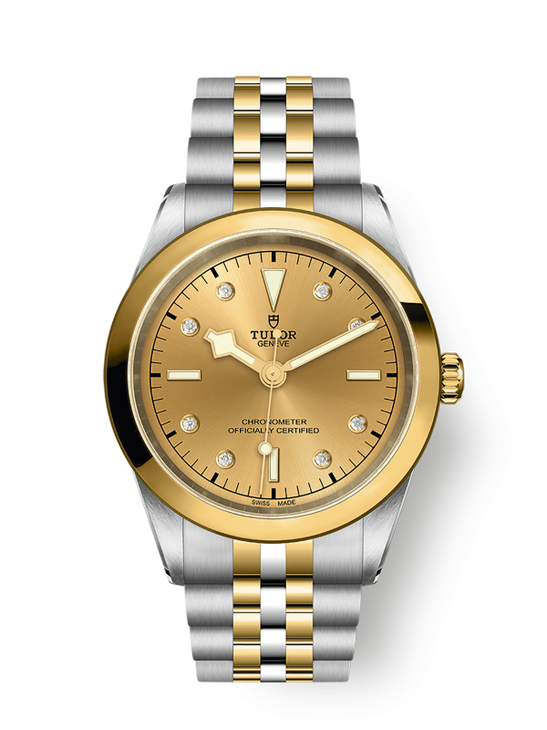 Tudor Black Bay 41 S&G, 316L Stainless Steel and 18k Yellow Gold, Ref# M79683-0008